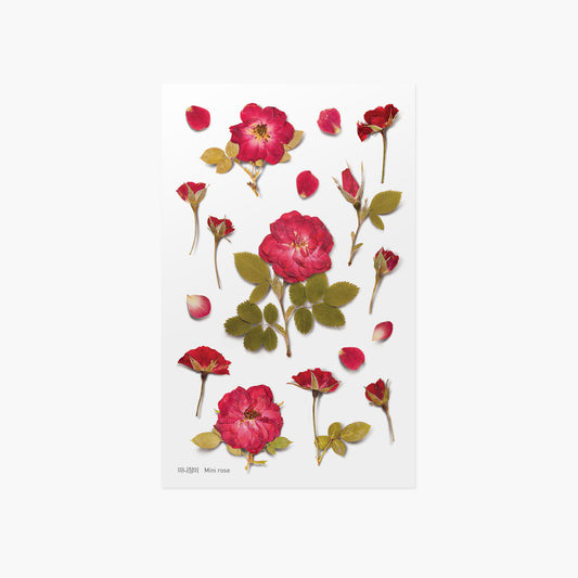 Appree Pressed flower sticker - Mini Rose