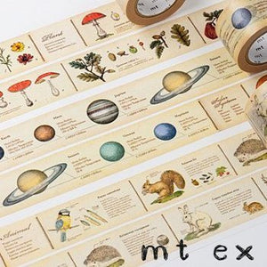 MT EX Washi Tape Encyclopedia Nuts Sample