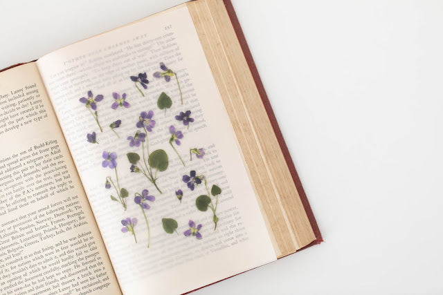 Appree Pressed flower sticker - Manchurian Violet