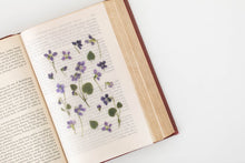 Load image into Gallery viewer, Appree Pressed flower sticker - Manchurian Violet
