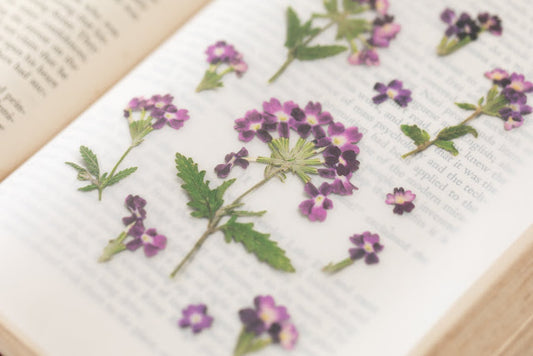 Appree Pressed flower sticker - Verbena