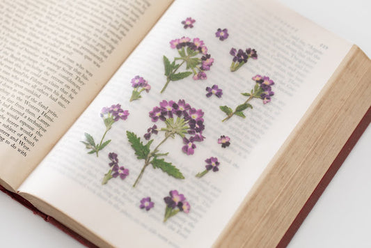 Appree Pressed flower sticker - Verbena
