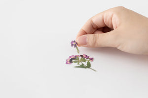 Appree Pressed flower sticker - Verbena