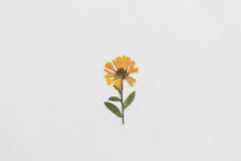 Load image into Gallery viewer, Appree Pressed flower sticker - Calendula
