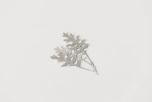 Load image into Gallery viewer, Appree Pressed flower sticker - Dusty Miller
