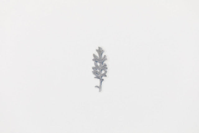 Appree Pressed flower sticker - Dusty Miller