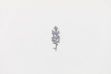 Load image into Gallery viewer, Appree Pressed flower sticker - Dusty Miller
