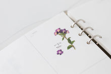 Load image into Gallery viewer, Appree Pressed flower sticker - Verbena
